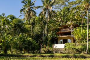 une maison au milieu d'une jungle avec des palmiers dans l'établissement Eco Six Bali, à Tampaksiring