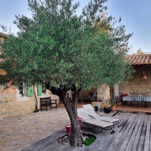 un árbol en una terraza de madera junto a una silla en Villa de 3 chambres avec piscine privee jacuzzi et jardin clos a Lussana, en Lussan