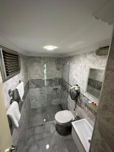 a bathroom with a toilet and a shower and a sink at Basoglu Bulancak Hotel in Bulancak