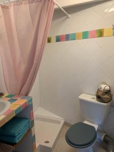La salle de bains est pourvue de toilettes et d'un lavabo. dans l'établissement LES TERRASSES (centre de Pierrefonds), à Pierrefonds