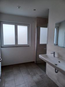 een badkamer met een wastafel en een spiegel bij Hof Schütterle in Friedrichshafen