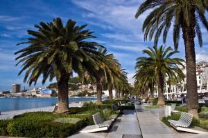 a row of palm trees next to a body of water at Imperial apartments in Split