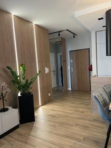 ein Wohnzimmer mit Holzböden und einer Topfpflanze in der Unterkunft Apartamentowiec Opole in Oppeln