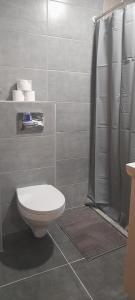 La salle de bains est pourvue d'une douche et de toilettes. dans l'établissement Apartments Gaga, à Jahorina