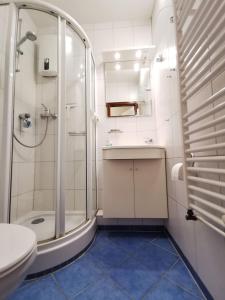 ein Bad mit einer Dusche, einem Waschbecken und einem WC in der Unterkunft Vier Jahreszeiten I 50 in Großenbrode