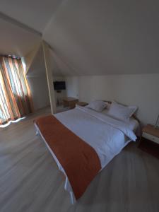 a bedroom with a large bed in a room at Hotel Orient in Blagoevgrad