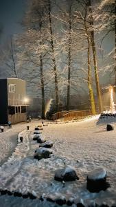 a snow covered field with rocks and trees at night at WorthMiles Resort in Manāli