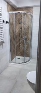 a shower with a glass door in a bathroom at Apartament Anna Iwonicz Zdrój in Iwonicz-Zdrój