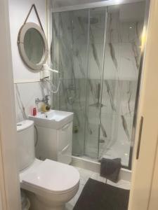 a bathroom with a shower and a toilet and a sink at Apartamenty u Ewy - EUROS in Ustka