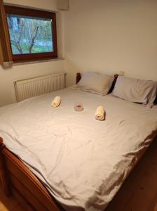 Postelja oz. postelje v sobi nastanitve Turistična kmetija Štupar