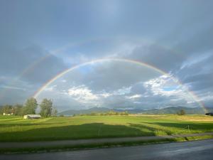 Fotografie z fotogalerie ubytování Weslhof Attersee am Attersee