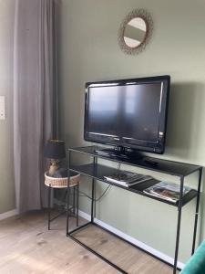 TV a/nebo společenská místnost v ubytování #1 Studioapartment mit Loreleyblick direkt an der schönsten Etappe des Rheinsteigs