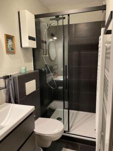 a bathroom with a toilet and a glass shower at #1 Studioapartment mit Loreleyblick direkt an der schönsten Etappe des Rheinsteigs in Patersberg