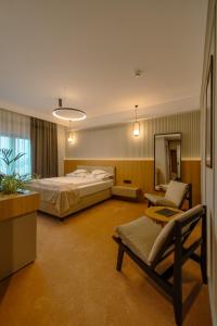 Habitación de hotel con 2 camas y espejo en Crama Jelna Resort & Spa, en Orheiu Bistriţei