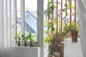 two windows with potted plants sitting on them at 29-House in Cà Mau