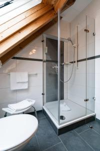 a bathroom with a shower and a toilet at Hotel am Stadthaus in Neuenburg am Rhein