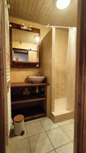 een badkamer met een wastafel, een spiegel en een douche bij Gîte Cœur de Haute-Savoie in Viuz-en-Sallaz