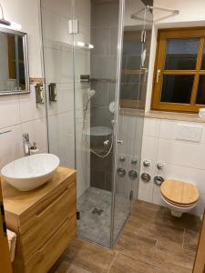 グライナウにあるAppartements Zugspitzdorf - Haus Wägerのバスルーム(シャワー、洗面台、トイレ付)