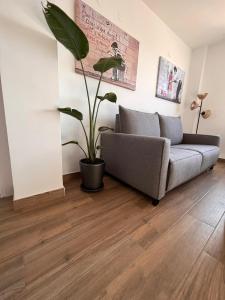 ein Wohnzimmer mit einem Sofa und einer Topfpflanze in der Unterkunft Apartamento en Granada in Granada