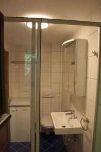 ein Badezimmer mit einem Waschbecken, einem WC und einem Spiegel in der Unterkunft Ferienhaus Schmid in Bad Reichenhall