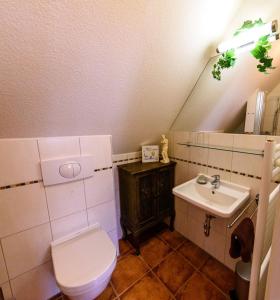 a bathroom with a toilet and a sink at WERTS HOF FerienWohnen in Rauschenberg