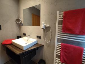 ein Badezimmer mit einem weißen Waschbecken und einem Spiegel in der Unterkunft Appartements Pfausler in Oetz