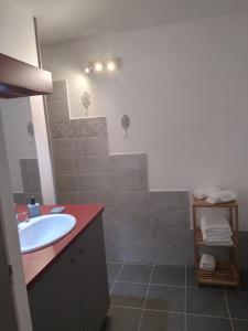 een badkamer met een wastafel en een douche bij La Bouillarde in Suze