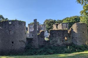 ruínas de um velho castelo com árvores ao fundo em Charmant gîte à la ferme em Herbignac