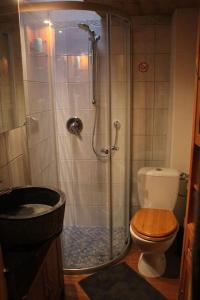 a bathroom with a shower with a toilet and a sink at Rad - Wanderparadis Tiroler Zugspitze Arena Ehrwald in Ehrwald