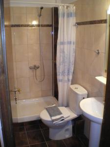 a bathroom with a shower and a toilet and a sink at Haus Despina in Sarti