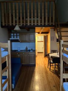 a kitchen and a living room with a table and a couch at Prestranek Castle Estate in Postojna