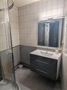 La salle de bains est pourvue d'un lavabo et d'un miroir. dans l'établissement Le Thannois - appartement 2 chambres, salon, cuisine équipée, parking et wifi gratuit, à Mulhouse