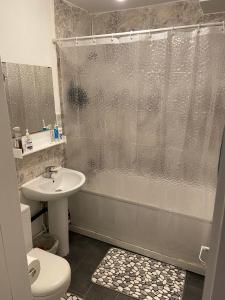een badkamer met een douche, een toilet en een wastafel bij Cosy Victorian guest room in Londen