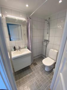 a bathroom with a sink and a toilet and a mirror at Gästhus med utsikt över Drottningholms slott in Drottningholm