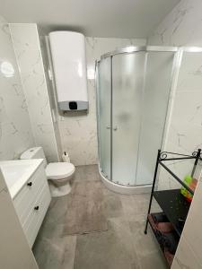 a bathroom with a shower and a toilet and a sink at Studio apartamenti in Alūksne