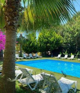 uma piscina com espreguiçadeiras e uma palmeira em Şelale Park Gizli Bahçe Glamping em Viransenir