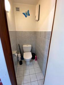 a small bathroom with a toilet and butterflies on the wall at Appart sympa 6p avec garage et terrasse ensoleillée et spacieuse à 25m de la Mer Westende in Middelkerke