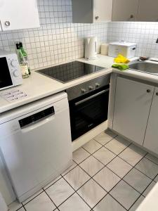 a white kitchen with a sink and a dishwasher at Appart sympa 6p avec garage et terrasse ensoleillée et spacieuse à 25m de la Mer Westende in Middelkerke