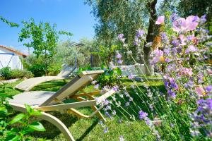 A garden outside Meji House