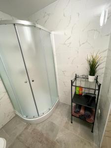 a shower with a glass door in a bathroom at Studio apartamenti in Alūksne