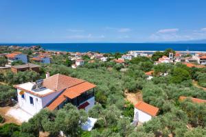 Táj Show holiday homes közelében