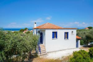 Táj Show holiday homes közelében