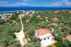 Táj Show holiday homes közelében