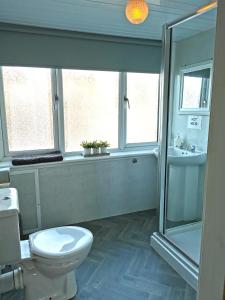 ein Bad mit einem WC, einer Dusche und einem Waschbecken in der Unterkunft Islay Frigate Hotel in Tarbert