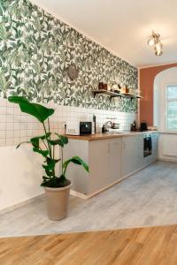 a kitchen with a plant in the middle of it at Stilvolles Apartment direkt am Marktplatz / Netflix und WiFi in Frankenberg