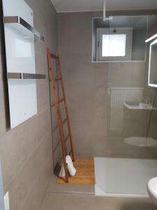 a ladder in a bathroom with a shower and a sink at Appartement Randogne in Crans-Montana