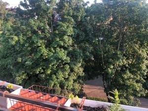 an overhead view of a large tree at Gemütliches Apartment in Essen in Essen