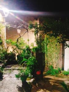 A garden outside CASA RURAL LA TORRITA