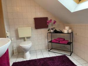 a bathroom with a toilet and a sink at Einzigartiges Apartment, mitten in der Natur in Ottenhöfen +42 photos