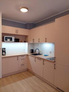 Kuchnia lub aneks kuchenny w obiekcie Apartament Pod Papugami 2 Karpatia Resort